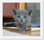 4 weeks_1 * 640 x 582